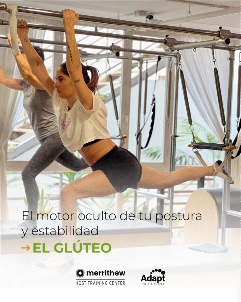 El motor oculto de tu postura y estabilidad, el glúteo